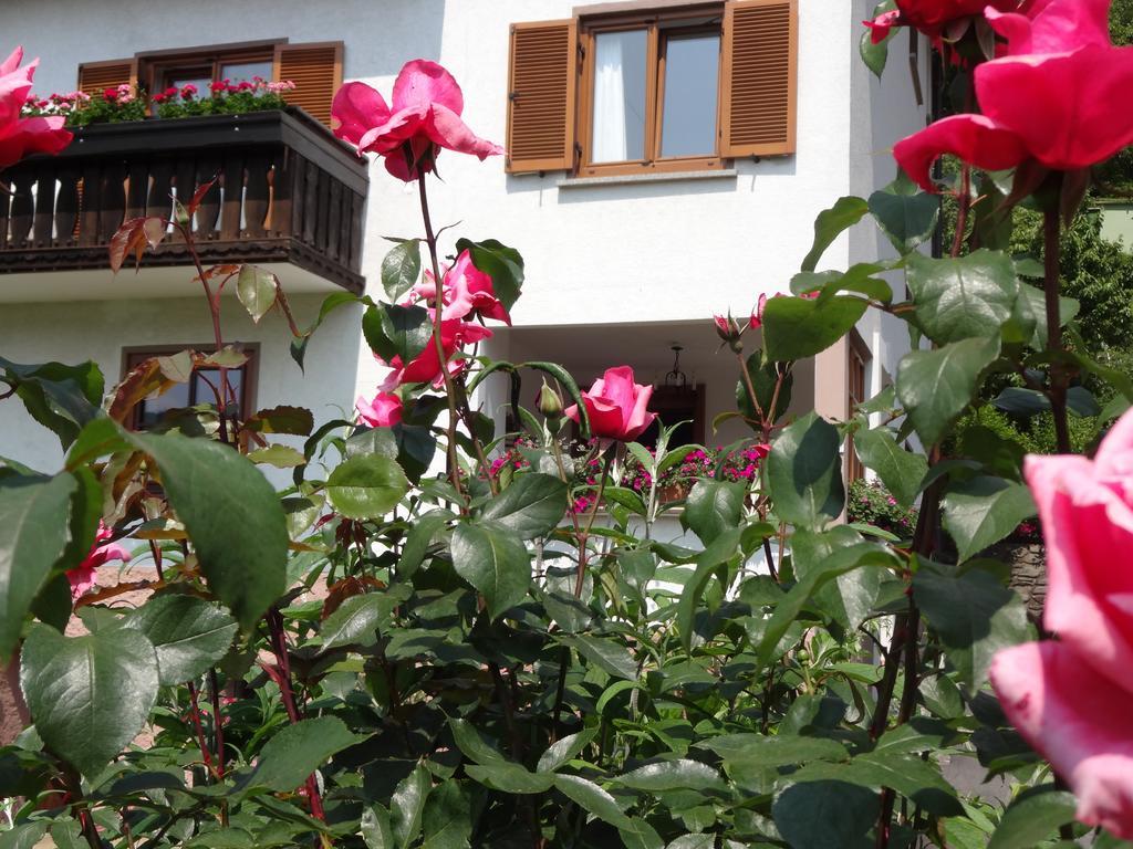 Schuetzenhof Aparthotel Sattendorf Bagian luar foto